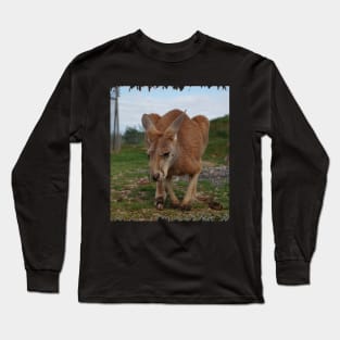 Joey Long Sleeve T-Shirt